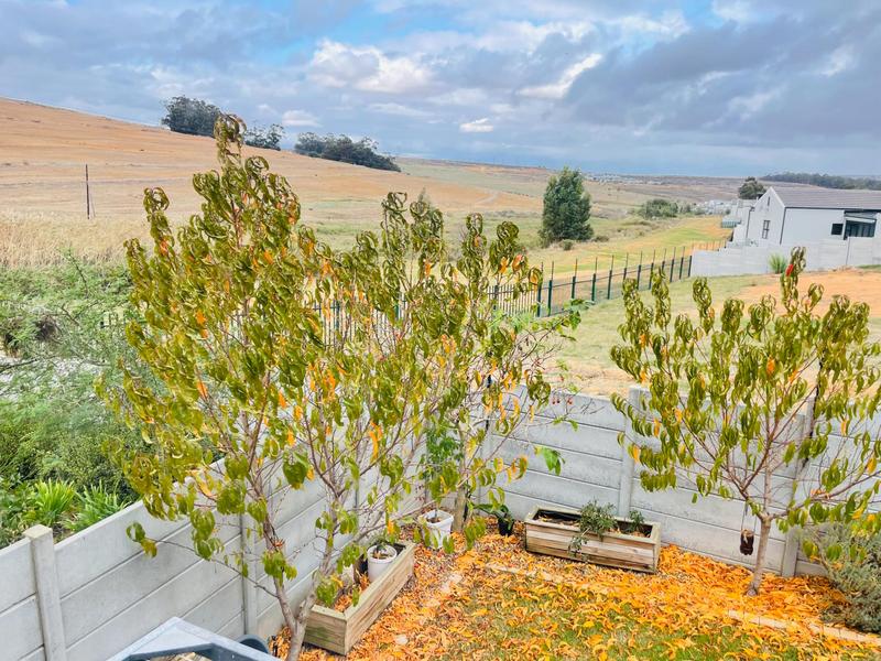 3 Bedroom Property for Sale in Klipfontein Western Cape